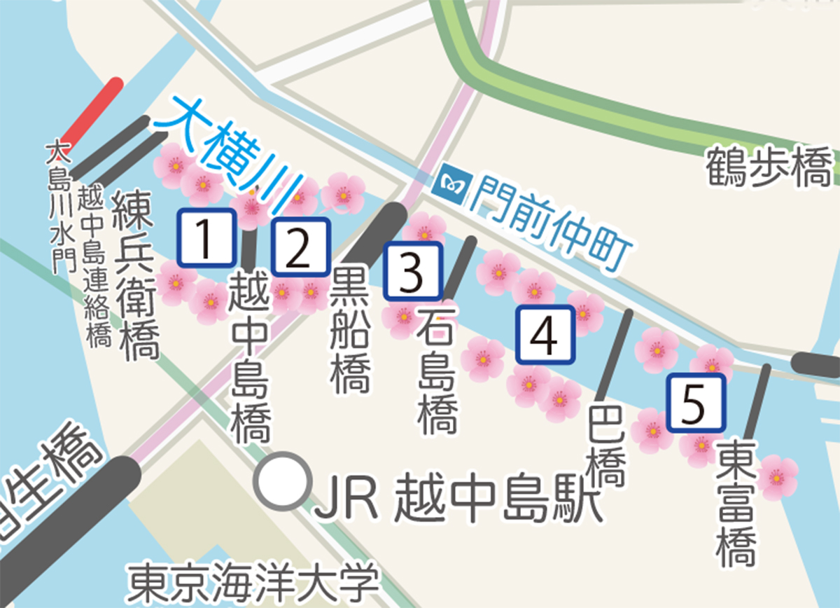 大横川さくらクルーズコース
