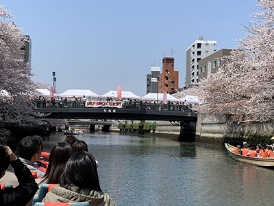 さくらのはしごクルーズ100分コース 写真ギャラリー