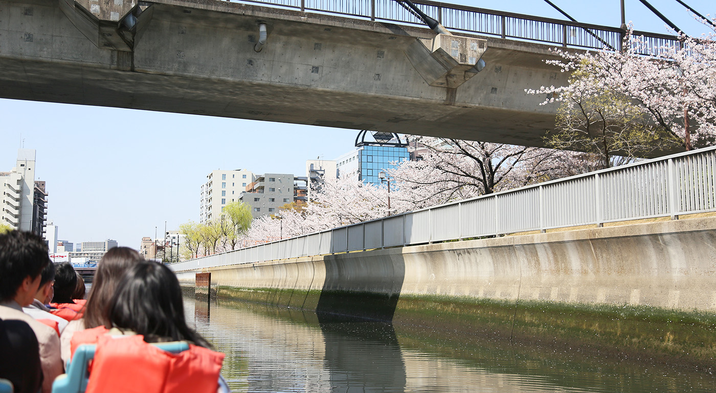 さくらのはしごクルーズイメージ写真