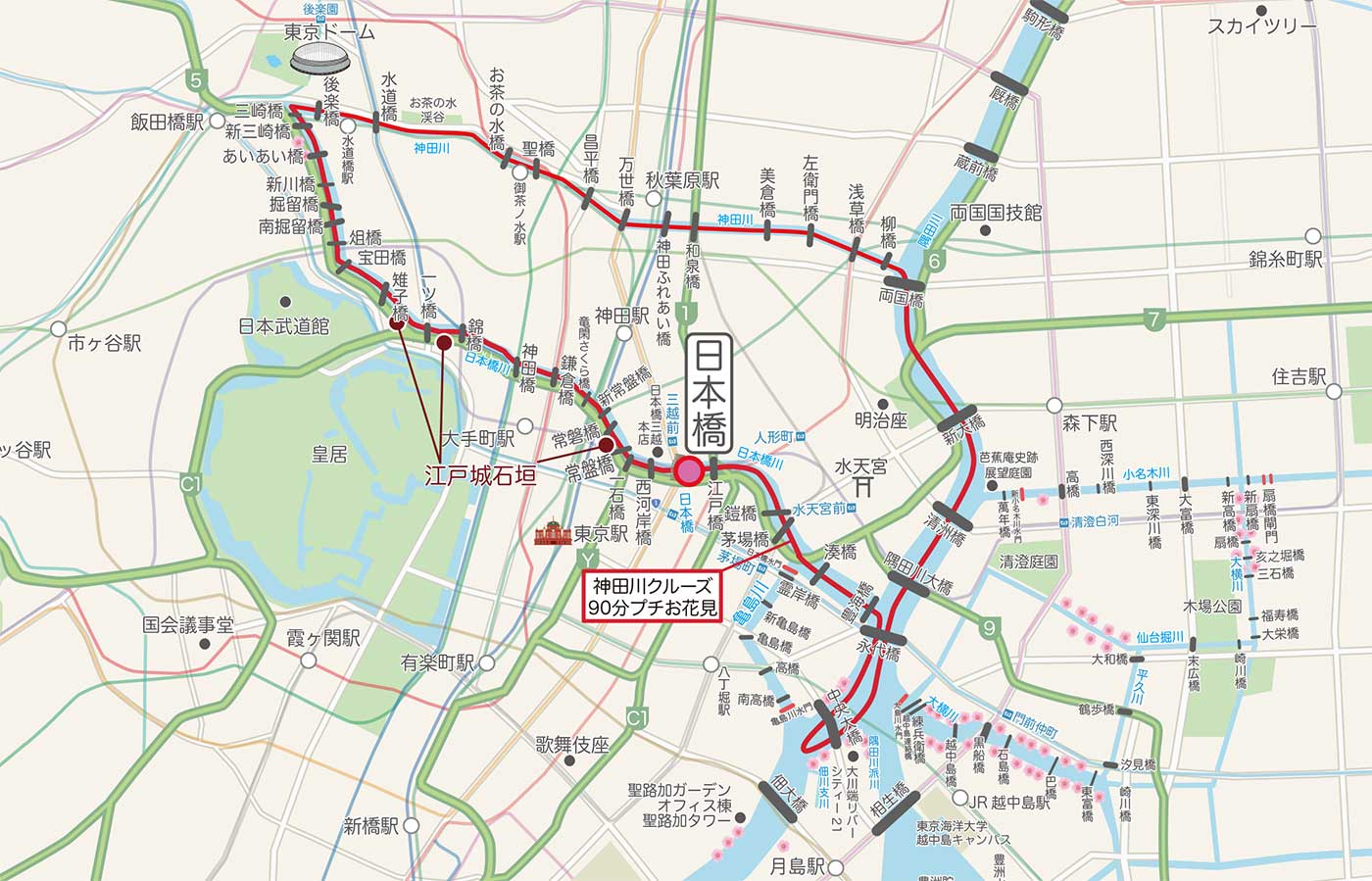神田川クルーズ®️90分プチお花見コース