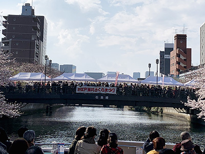 大横川さくらクルーズ60分コース 写真ギャラリー