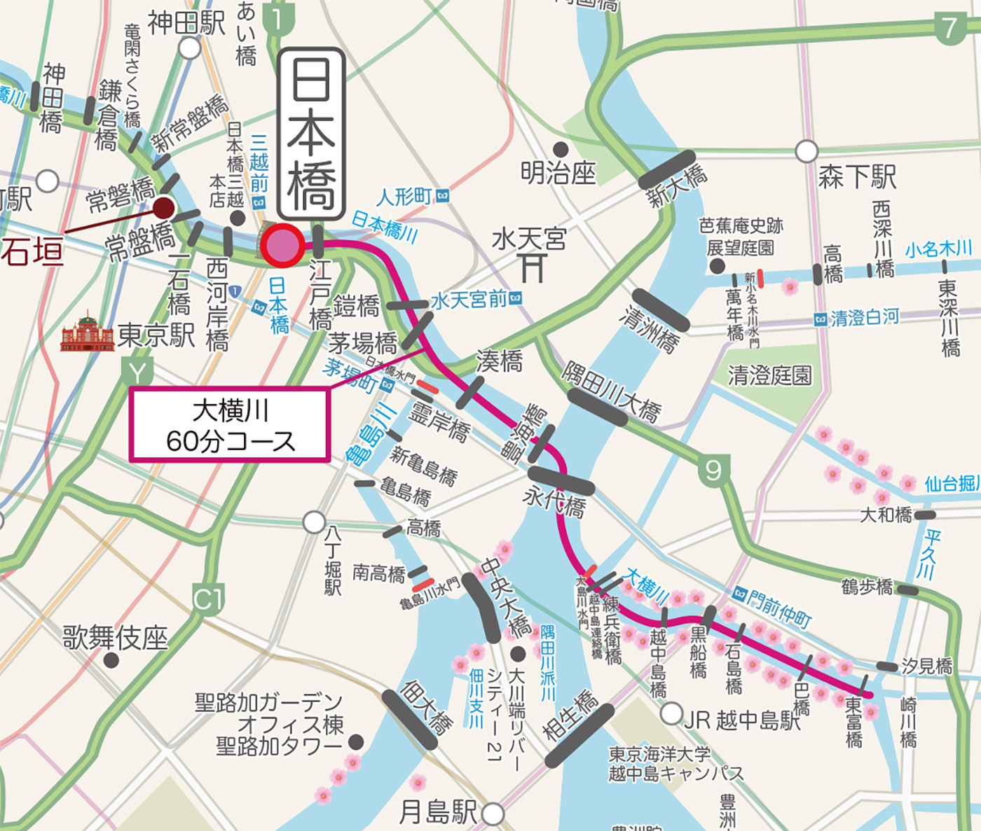 大横川さくらクルーズ60分コース