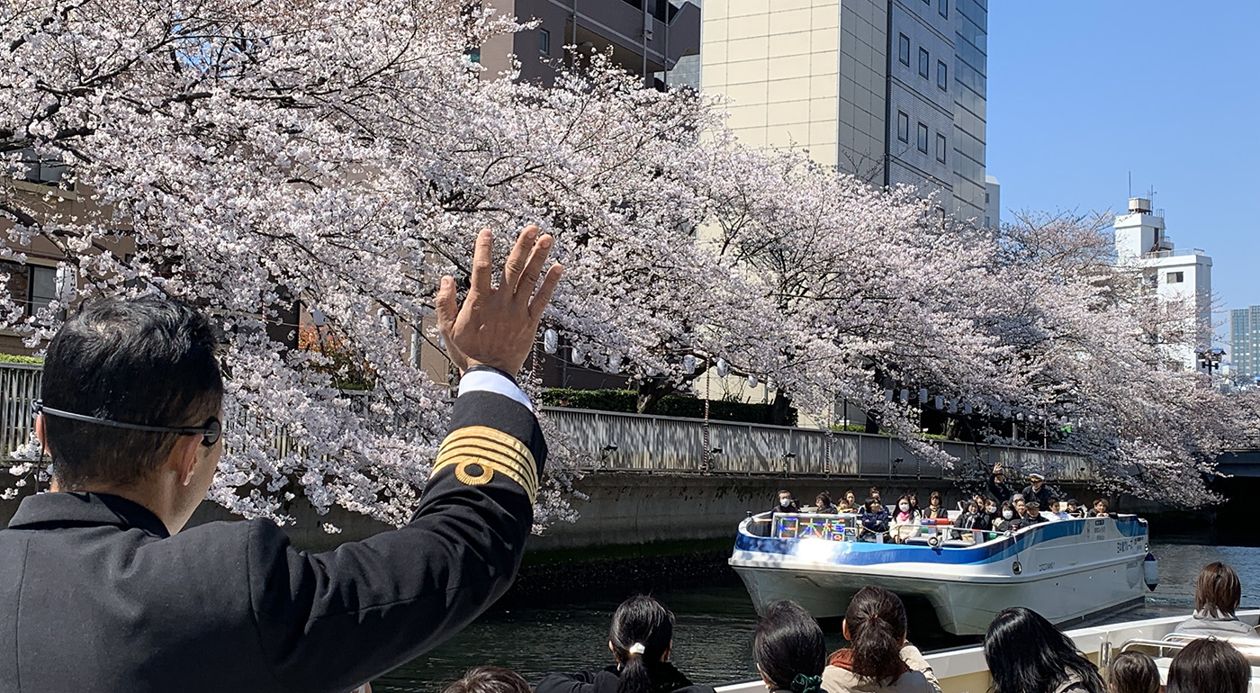 大横川さくらクルーズイメージ写真