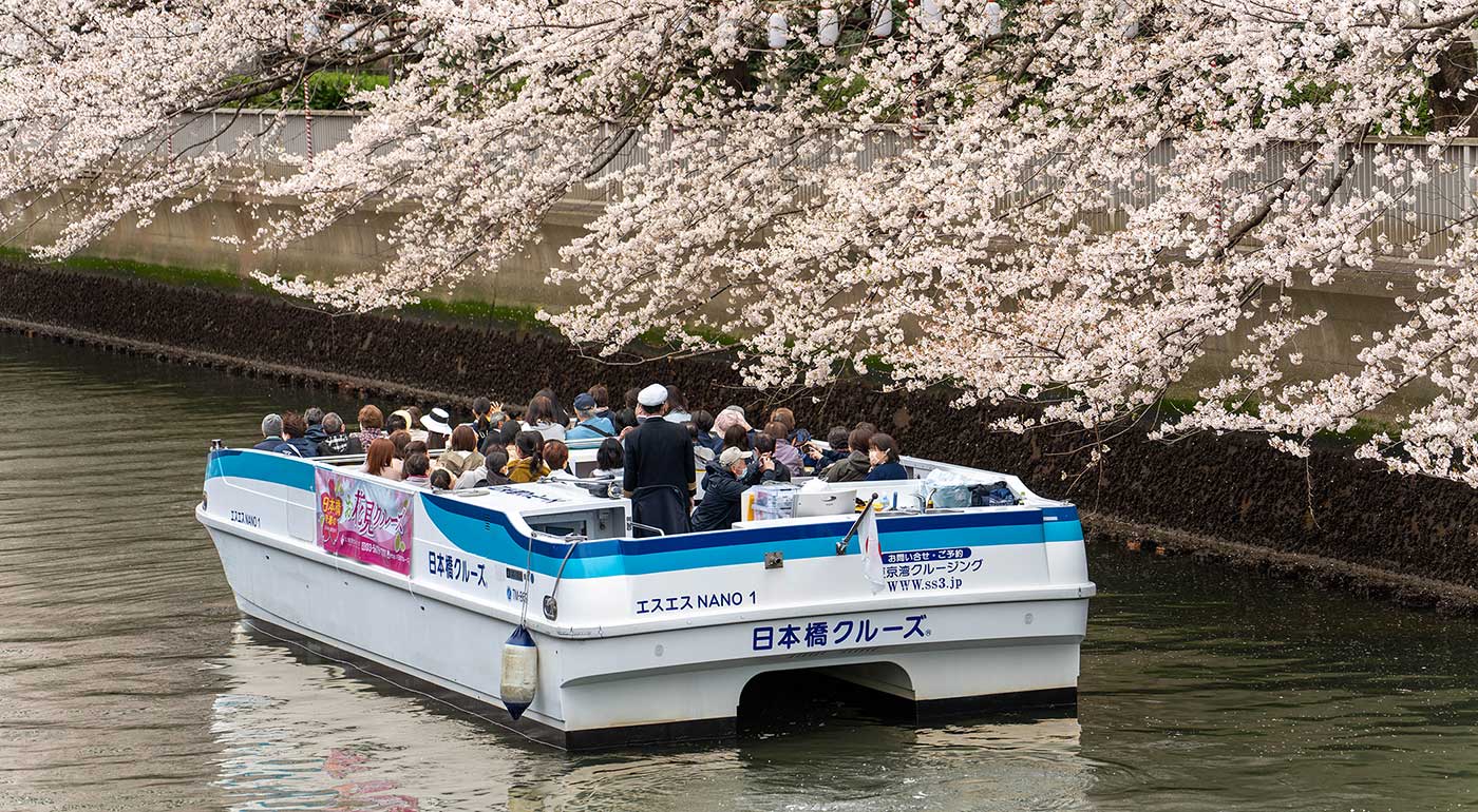 大横川さくらクルーズイメージ写真