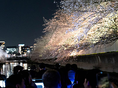 大横川さくらクルーズ60分コース 写真ギャラリー