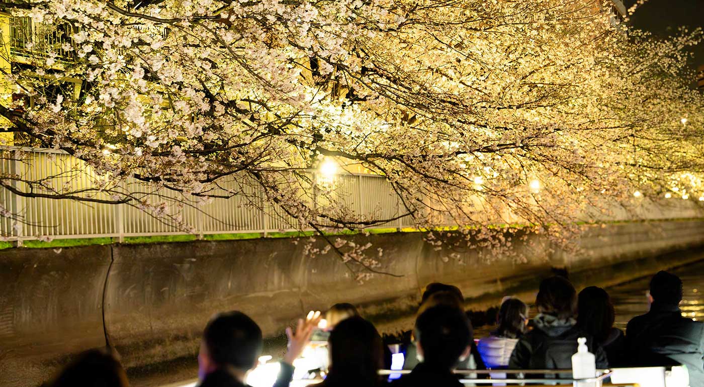 大横川さくらクルーズイメージ写真