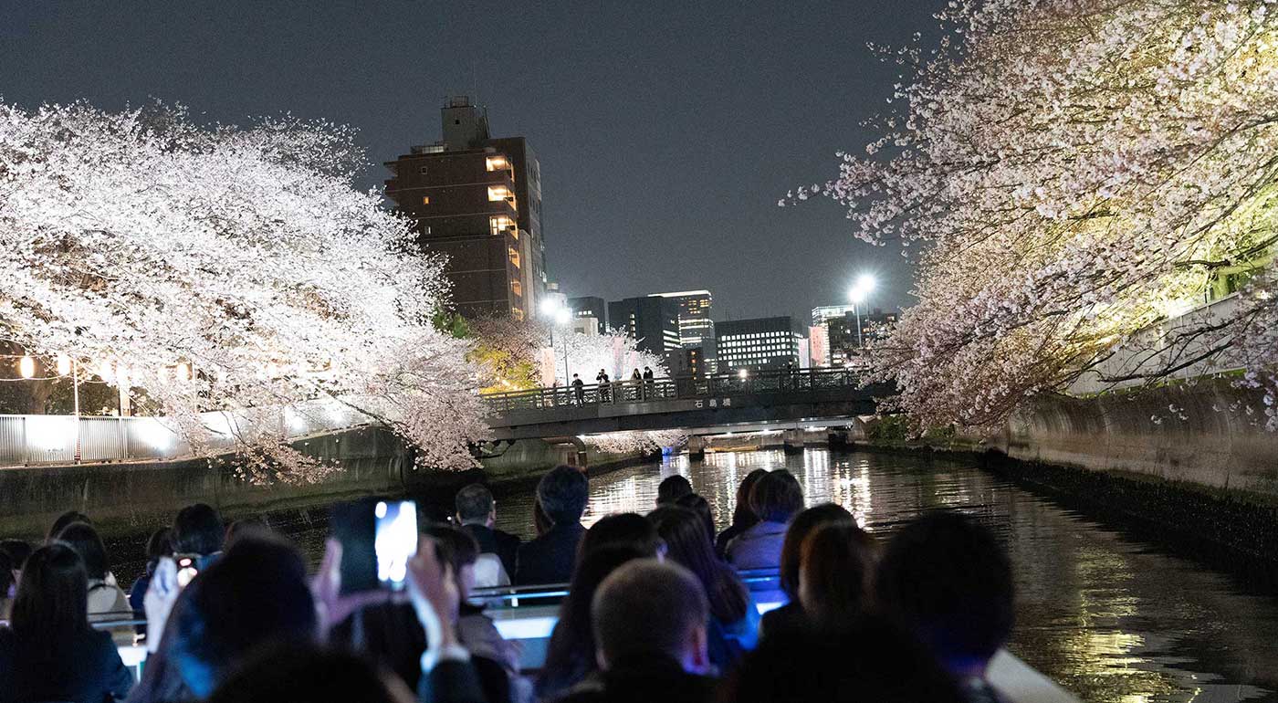 大横川さくらクルーズイメージ写真