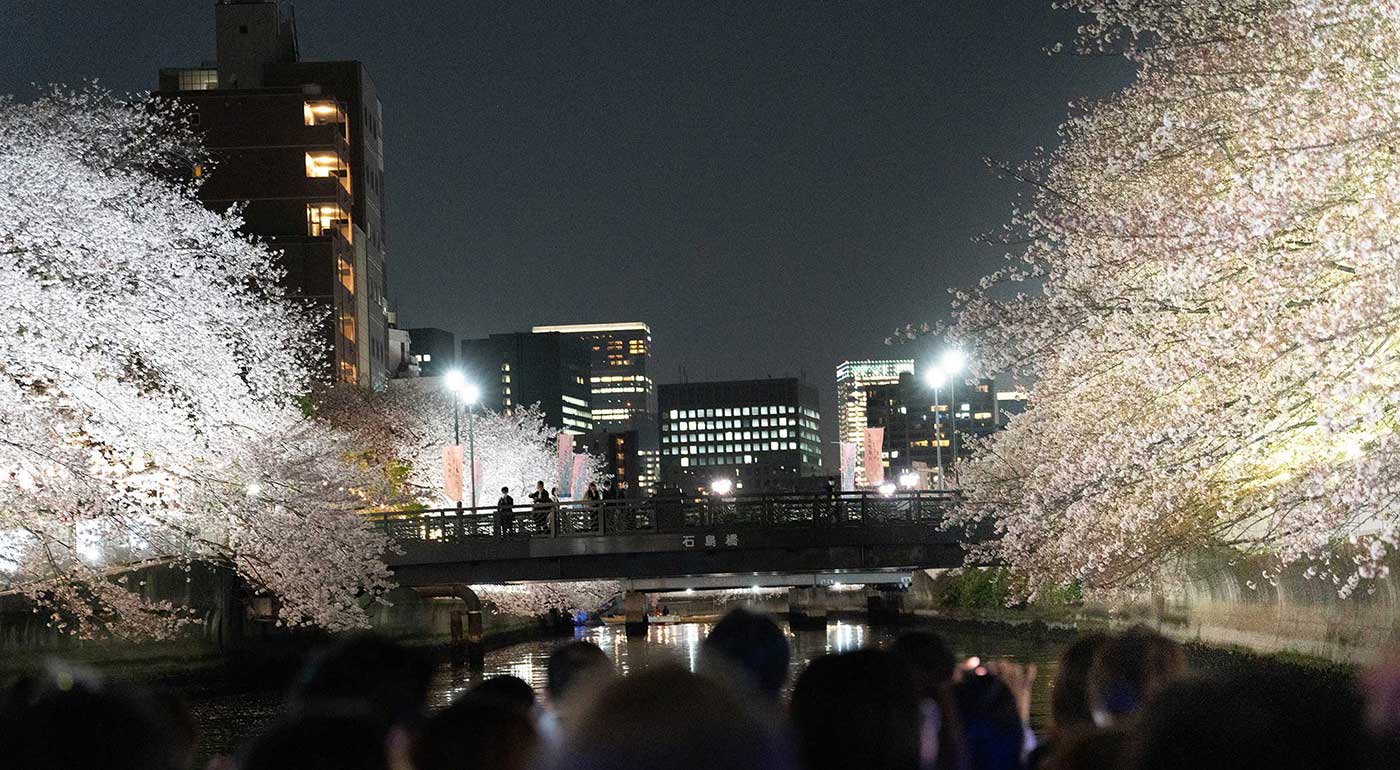 大横川さくらクルーズイメージ写真