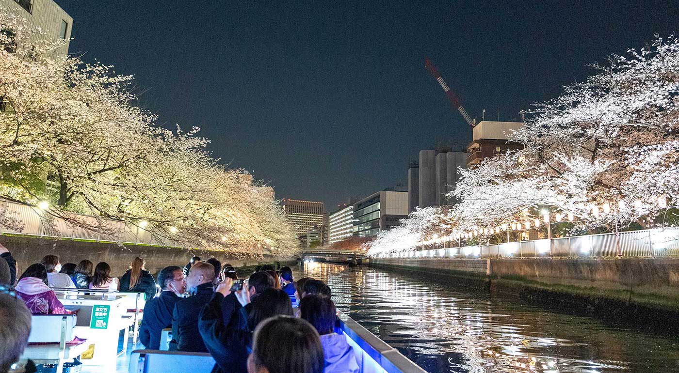 大横川さくらクルーズイメージ写真