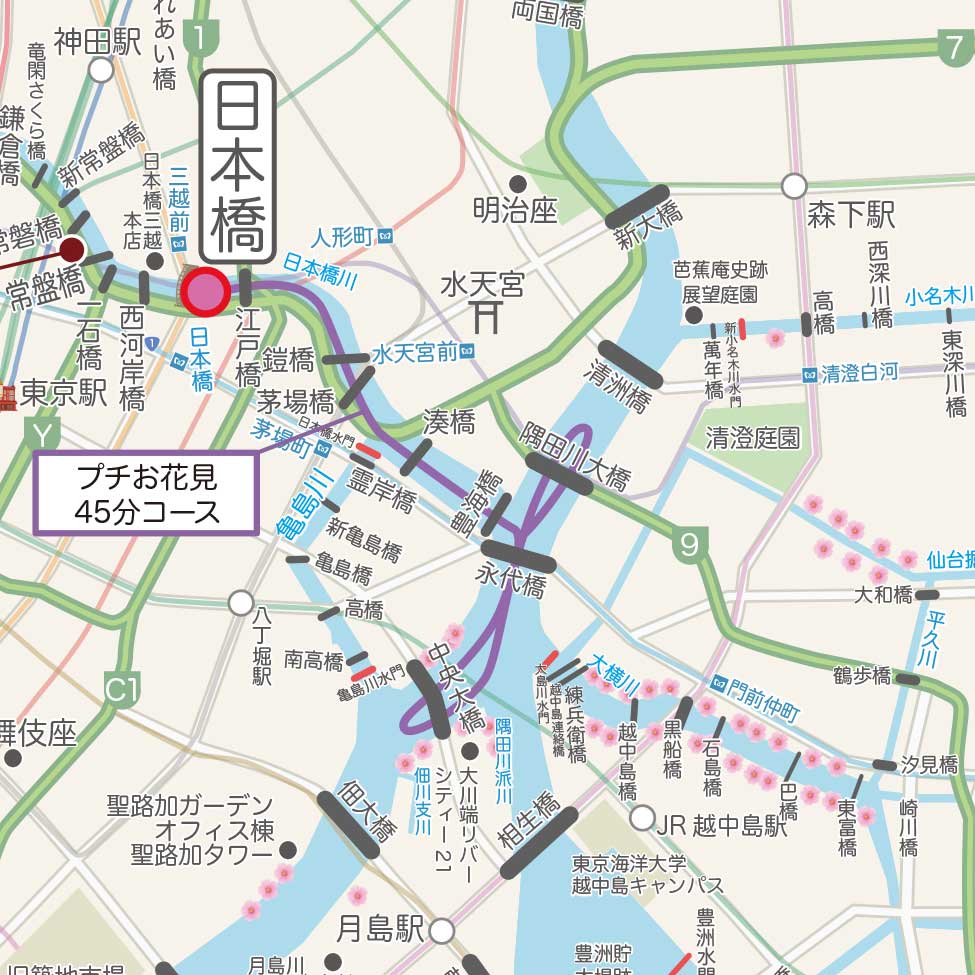 プチさくらクルーズ45分コース