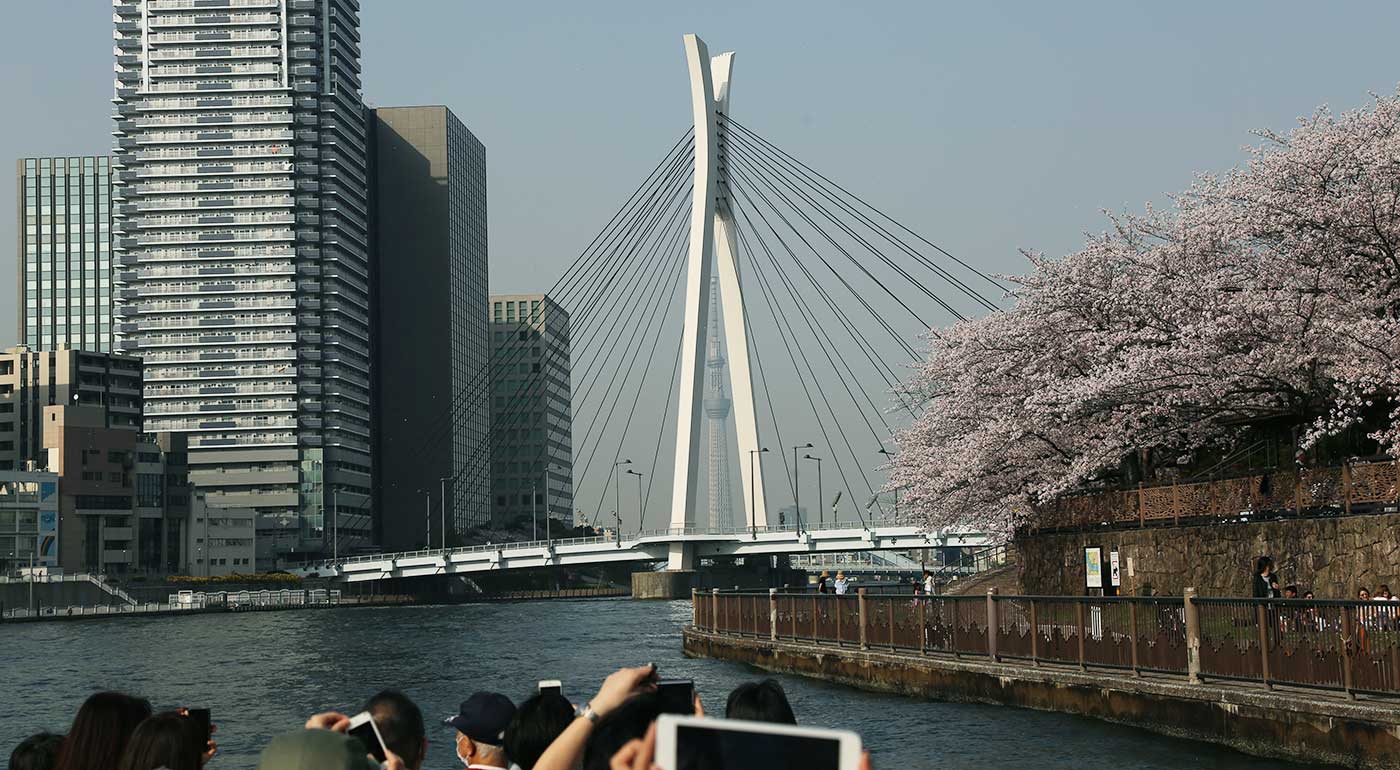 プチさくらクルーズ45分イメージ写真