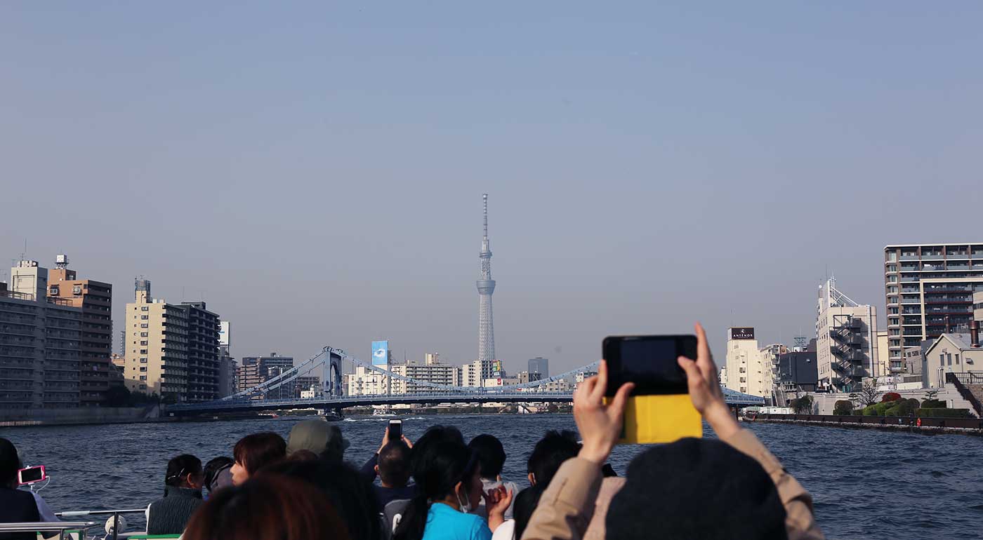 プチさくらクルーズ45分イメージ写真