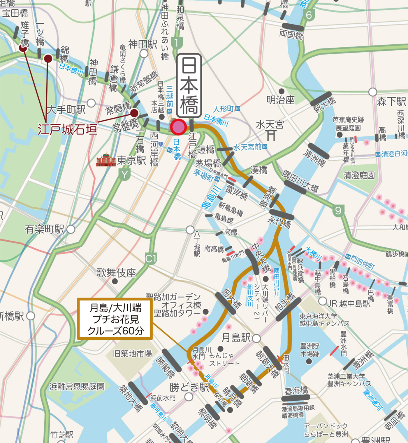 月島/大川端プチお花見クルーズ60分コース