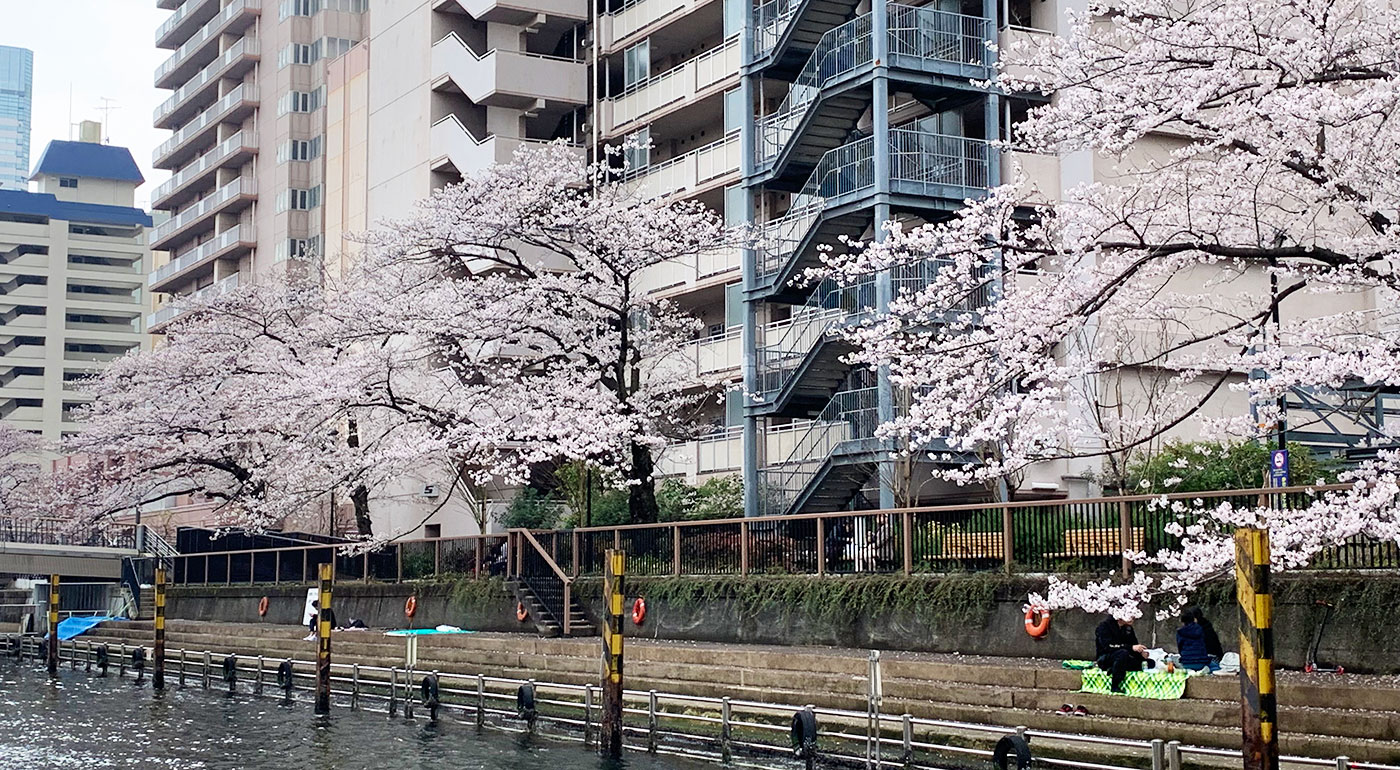 月島/大川端プチお花見クルーズ60分