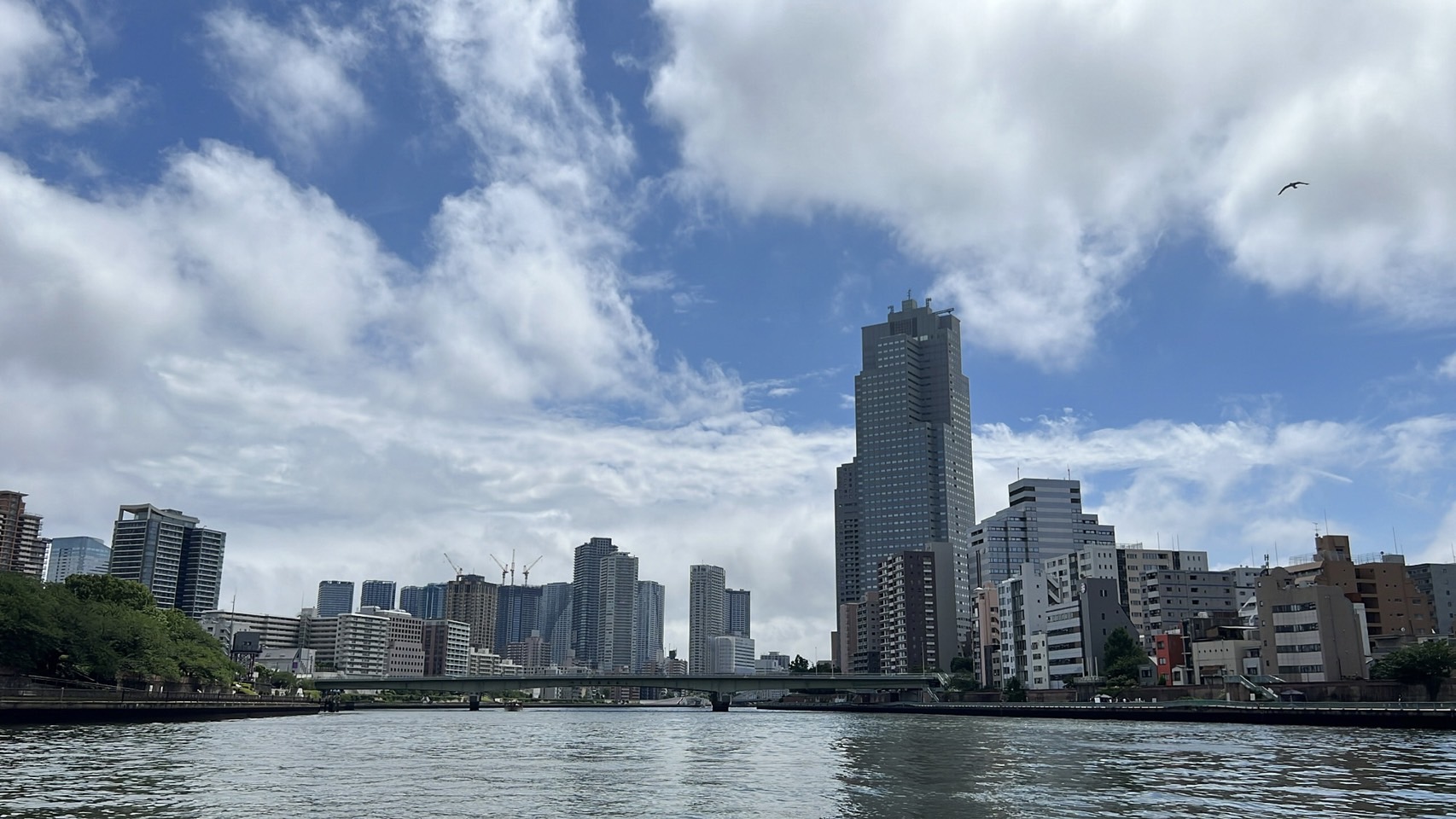 優秀賞写真